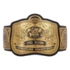 WWE Tag Team Championship Belt - tag team belt