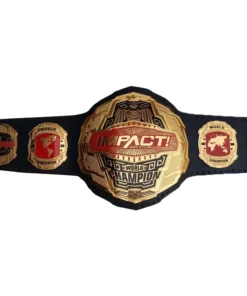 World Impact Heavyweight Wrestling Championship Belt (3)
