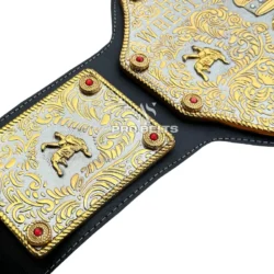 Big Gold World Heavyweight Championship Belt side plate