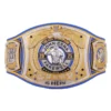 John Cena 2025 Money In The Bank Los Angeles Championship Replica Belt