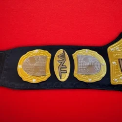 TNA Wrestling Heavyweight Championship Title Belt 2 510x510 1 - Championshipbeltmaker