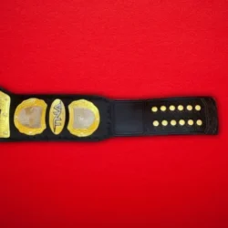 TNA Wrestling Heavyweight Championship Title Belt 3 510x510 1 - Championshipbeltmaker