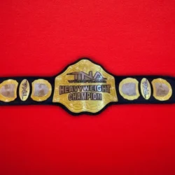 TNA Wrestling Heavyweight Championship Title Belt 5 768x768 1 - Championshipbeltmaker