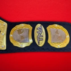 TNA Wrestling Heavyweight Championship Title Belt 6 510x510 1 - Championshipbeltmaker