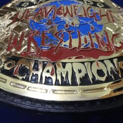 ECW WORLD HEAVYWEIGHT 24K GOLD Championship Belt 4 - Championshipbeltmaker