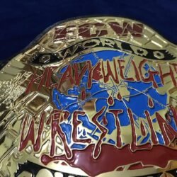 ECW WORLD HEAVYWEIGHT 24K GOLD Championship Belt 5 - Championshipbeltmaker