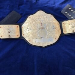 WWE BIG GOLD DUAL PLATED 24K GOLD Championship Belt 2 - Championshipbeltmaker