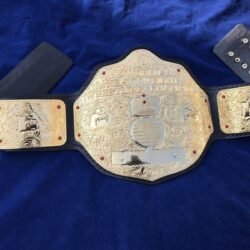 WWE BIG GOLD DUAL PLATED 24K GOLD Championship Belt 3 - Championshipbeltmaker