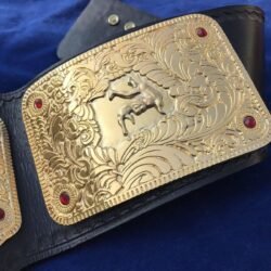 Alternative view of WWE BIG GOLD DUAL PLATED 24K GOLD Championship Belt