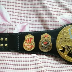 Alternative view of WWF STONE COLD SMOKING SKULL 24K GOLD Championship Belt