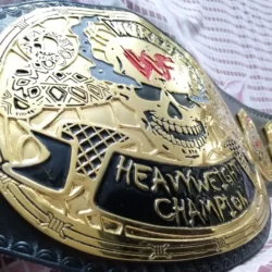 WWF STONE COLD SMOKING SKULL 24K GOLD Championship Belt 3 - Championshipbeltmaker