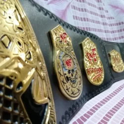WWF STONE COLD SMOKING SKULL 24K GOLD Championship Belt 44 - Championshipbeltmaker