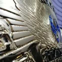 WWF WINGED EAGLE 24K GOLD 6 - Championshipbeltmaker