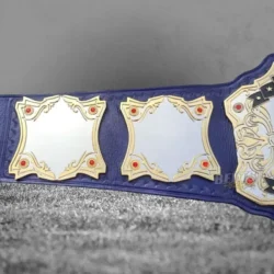 Custom Heavyweight Championship Belt (2)