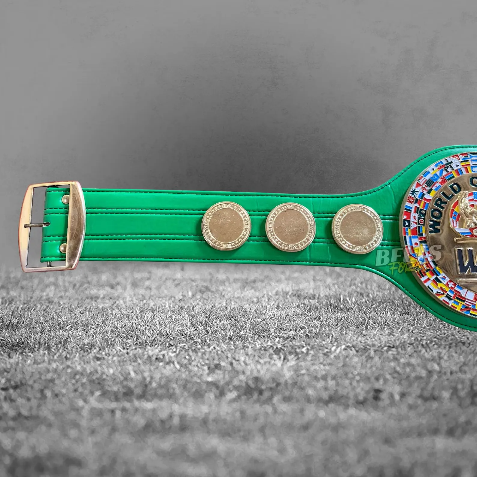 Custom WBC Boxing Championship Belt - Image 4