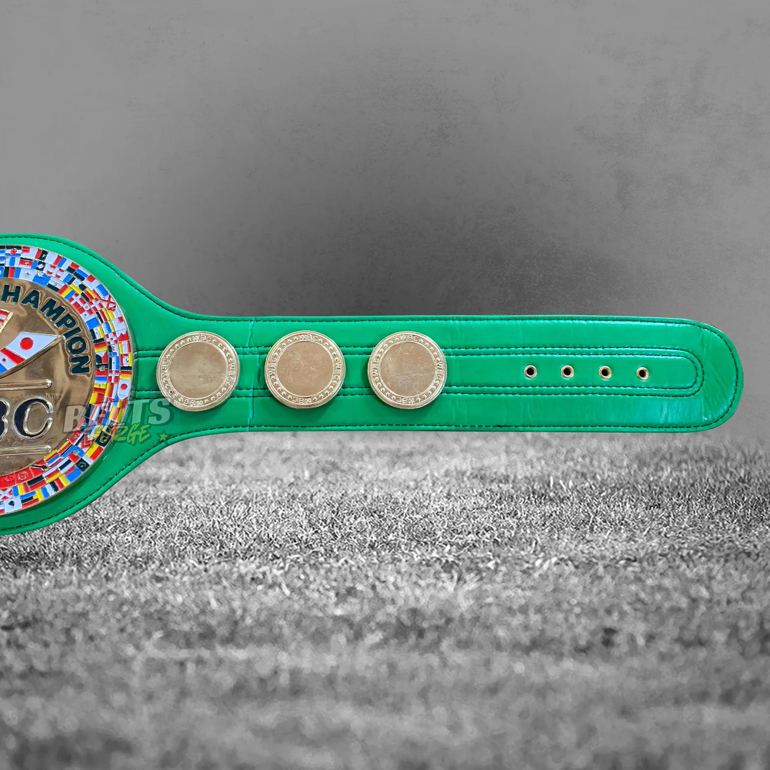 Custom WBC Boxing Championship Belt - Image 3