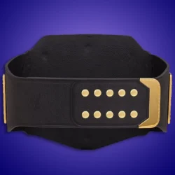 custom Undisputed Championship belt strap