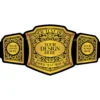 Custom Design Wrestling Championship Belt
